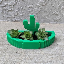 cactus planter jewelry holder display stand jewlery 3d print model - Mito3D
