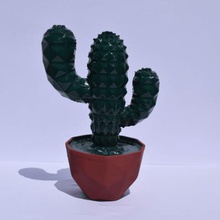 cactus polígono vectorial de la olla art poli orinal planta transportista 3d print model - Mito3D