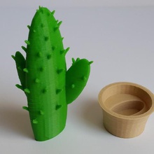 cactus en pot art pla bois tinkercad simplify3d deltawasp 3d print model - Mito3D