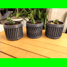 cactus pentola impostato 2 gadget pianta verde arredamento moderno minimalista piante grasse amante dei salone 3d print model - Mito3D