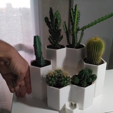 cactus pot water reserve home outdoor garden succulent vase plant succulents nsfw flower 3d print model - Mito3D