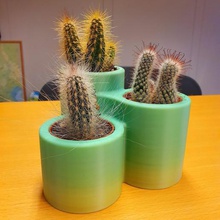 cactus en maceta x3 casa plantas de la planta crecer ikea los olla 3d print model - Mito3D