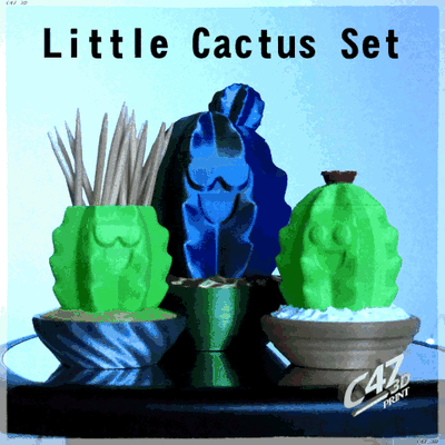 cactus set c47 3d toothpicks holder box decoration sand stones dirt pot vase cute smile gadget party kitchen plant spiral surprise 3d print model - Mito3D