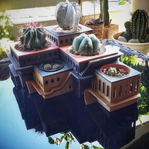 cactushotel home pot planter lithops 3D print model - Mito3D