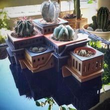 cactushotel home pot Pflanzer lithops 3d print model - Mito3D
