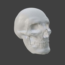 calavera art blender creality crealityender3 ender3 ender3pro miniature sculpted sculpture skeleton skull sculptures 3d print model - Mito3D