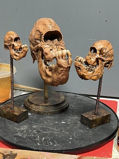 calf skull cyclopia cyclops collab animal art anatomical 3d print model - Mito3D