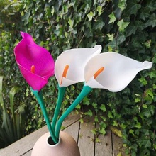 calla-Lilie Kunst Modelle nsfw lily Blume 3d print model - Mito3D
