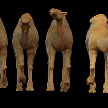 camelo dromedário 6 3d print model - Mito3D