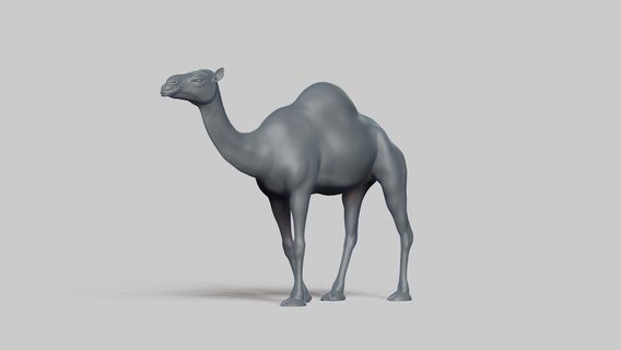 cammello posa 03 stl file 3d stampa modello mammifero animale fauna selvatica design arte figurine giocattolo pla resina creality natura 3d print model - Mito3D