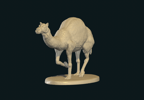 camello pie stl 3d print model - Mito3D
