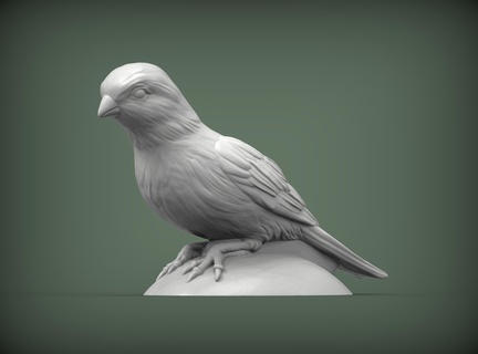 canario 3d impresión modelo pájaro escultura naturaleza animal estatuilla monocromo interior recuerdo esculpir Arte esculturas 3d print model - Mito3D