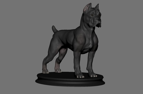 canne corso chien compagnie bouledogue 3dprint 3dprinting sculpture sculpter corgi carlin 3d print model - Mito3D
