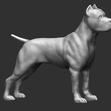 Stock Korso 3d Modell stl Kunst Tier Hund Italienisch Dogge 3d print model - Mito3D