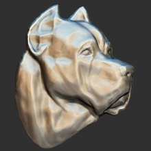 baston Corso baş 3d Rahatlama stl Sanat köpek İtalyan hayvan Yazdır 3d print model - Mito3D