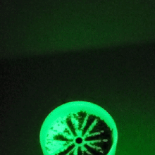 cannabis moedor garrafa gadget erva daninha Panela recipiente ímãs junta 3d print model - Mito3D