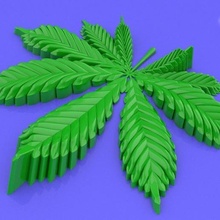 cannabis foglia hashish bhang zeppo kif charas ganja Sindemilla droga hash erba pentola mary jane verde Dagga 3d print model - Mito3D