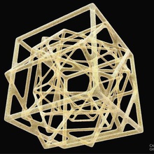 caotico jóias anycubic3d pulseira anel natureza gafanhoto computational design digital a geometria animais 3d print model - Mito3D