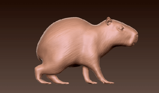 Capibara Capybara Nagetier roden Spielzeug Tier Säugetier 3d print model - Mito3D