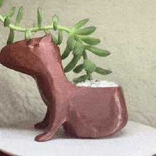 capivara plantador Panela animal suculento vaso 3d print model - Mito3D