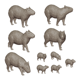 kapibara aile diyorama paketlemek hayvan Çiftlik çiftlik hayvanları köy minyatür mini 3d print model - Mito3D