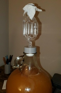 carboy cap brewing growler homebrewing mead stopper hobby 3d print model - Mito3D