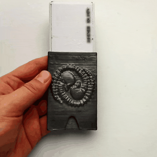 cartão caso bainha scull titular 3D print model - Mito3D