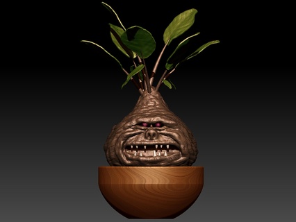 carnivorous plant mandrake harry potter vase jar pot plantpot 3d print model - Mito3D