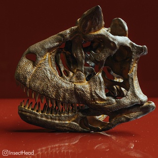 carnotaurus salón cráneo reconstrucción dinosaurio stl fósil cabeza 3d impresión 3d print model - Mito3D