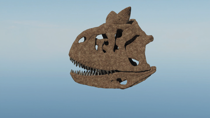 carnotaurus kafatası 30cm 3d yazdır model sanat brachiosaurus t rex indominus spinosaurus iskelet 3d print model - Mito3D