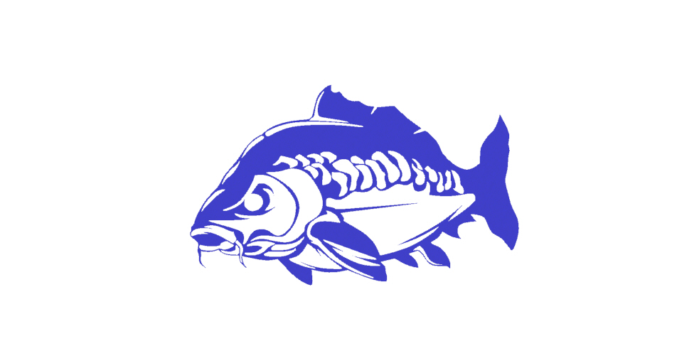 carp Art decoration decor 2d interior design emblem wall logo art fishing fisherman fish 3D print model - Mito3D