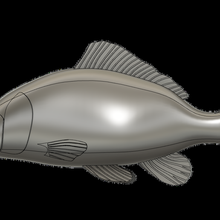 Karpfen Fisch 3d print model - Mito3D