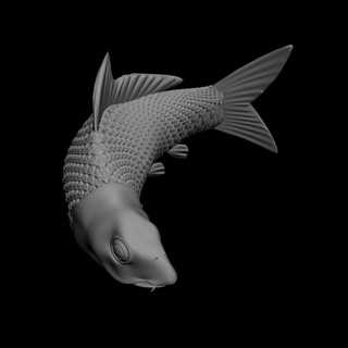 carp miniature educationl school science nature fish fishing sergio inglese 3d print model - Mito3D