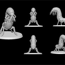 carrion crawler game art toy miniatures dnd moster 3d print model - Mito3D