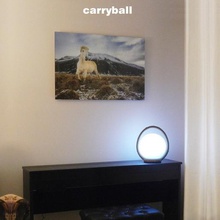 carryball home Garten Innenraum Lampe Beleuchtung office Erde solar Dekor nachhaltig ist phovoltaics 3d print model - Mito3D