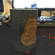 carved pencil pot art fun owl eagle bird animal decoration item potty 3d print model - Mito3D