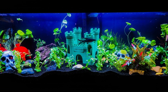 castle del atlantis fish aquarium decoration house 3d print model - Mito3D