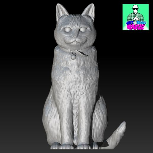 gato animal animales mascota mascotas gatos modelo real sentar sentado casa 3D print model - Mito3D