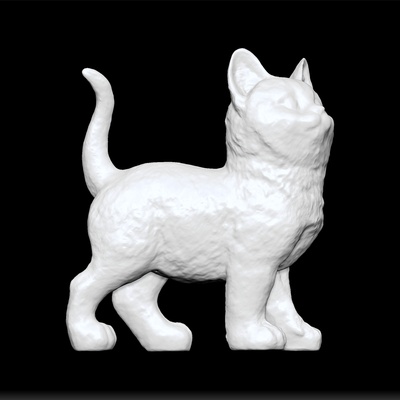 gato gatinha on escrivaninha teste modelo surpreendente animal peixe real beleza lindo brilhante realeza 3d print model - Mito3D