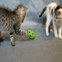 gatto palla gioco di stampa luogo facile la senza il supporto bell chat gattino 3d print model - Mito3D