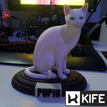 gatto base 3d print model - Mito3D