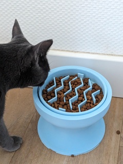 kedi yükseltici oturma yeri anti slobber çanak slip ayakta durmak öğle yemeği Kutu Eğitim yavaş besleme besleyici hayvanlar kibbles distribütör 3d print model - Mito3D