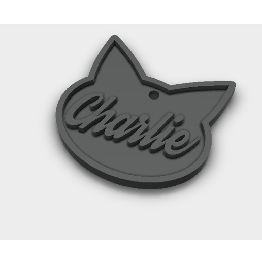 cat charlie tag fashion 3D print model - Mito3D