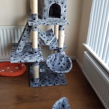 cat condo activity scratching pole repair kit owners fat cats home pets post climbing tree tower furniture centre 3d print model - Mito3D