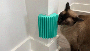 cat face scratcher groomer pet brush toy products things cats comb animal accessory presents lovers siamese 3d print model - Mito3D