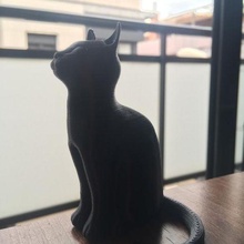 chat figurine soutiens nécessaire art support 3d print model - Mito3D