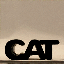 cat flip text illusion gadget toy animal word art 3d print model - Mito3D