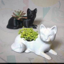 kedi Çiçekler Sanat kedilerofinstagram tasarım el yapımı güzellik makyaj 3d print model - Mito3D
