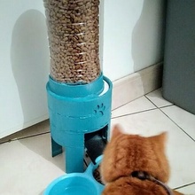 gatto cibo dispenser distributore Chiacchierare crocchetta animale 3d print model - Mito3D