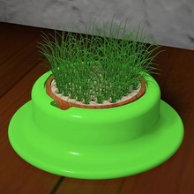 cat grass mini garden gadget catnip pet 3d print model - Mito3D